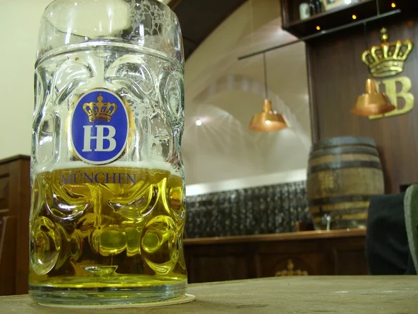 Hofbräu Beer München — Stock fotografie