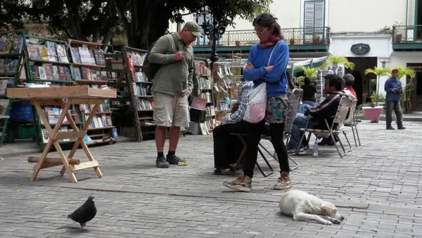 Knihy na trhu ve staré Havana (Kuba) — Stock fotografie