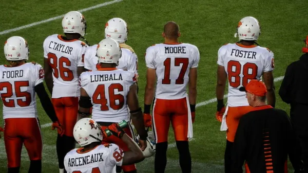 Canadian Football League (CFL) Foto — Fotografia de Stock