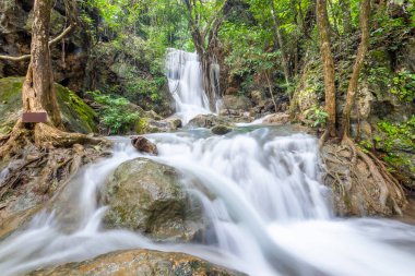 Erawan Şelalesi Kanchanaburi, Tayland 'daki Derin Orman' da