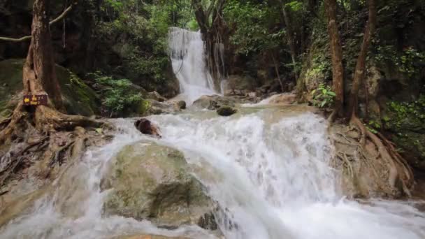 Cascata Erawan Nella Foresta Profonda Kanchanaburi Thailandia — Video Stock