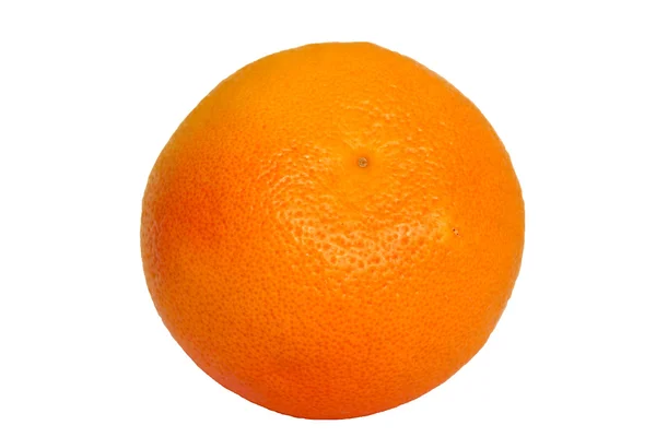 greyfurt