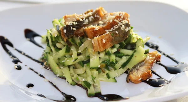 Komkommer salade met tonijn Stockfoto