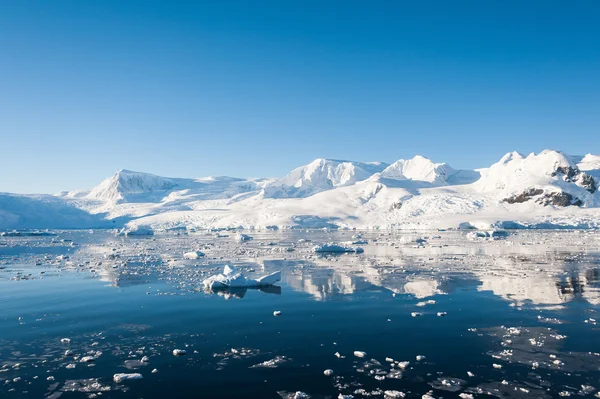Impresionante paisaje marino en la Antártida — Foto de Stock
