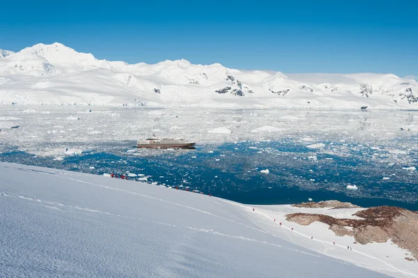 Paradise bay v Antarktidě — Stock fotografie