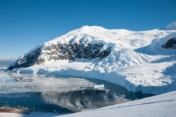 Paradise bay in Antarctica — Stockfoto