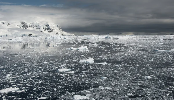 Paradiesische Bucht in der Antarktis — Stockfoto