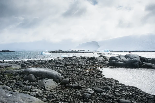 Dramatyczny krajobraz na Antarktydzie, nadchodzi burza Obrazek Stockowy