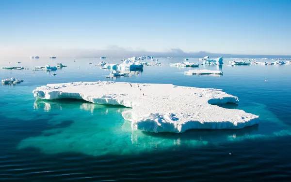 Akvamarin isberg med pingviner — Stockfoto