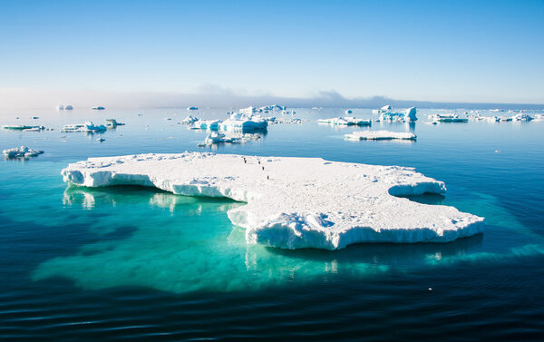 Aquamarine iceberg with penguins