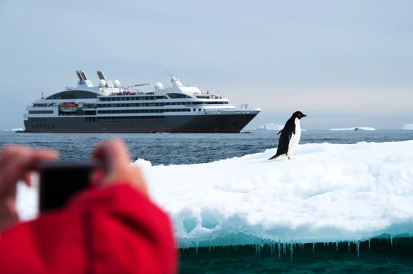 Iceberg branco na Antártida — Fotografia de Stock