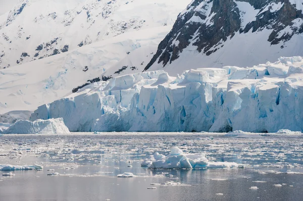 Majestueuse plage de l'Antarctique — Photo