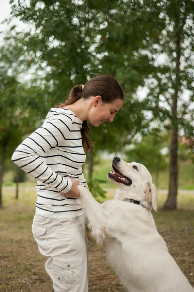 Giochi attivi all'aperto, cane e ragazza — Foto Stock