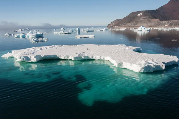 Amazing ice floe in Antarctic ocean Stock Image