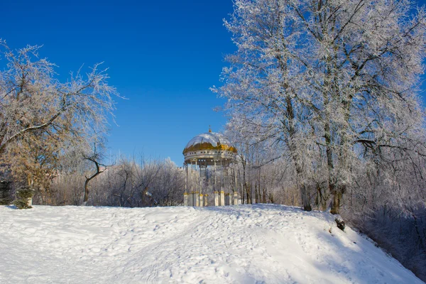 Inverno no parque — Fotografia de Stock