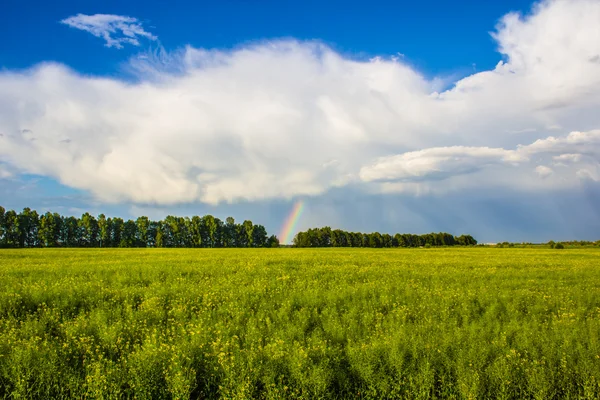 Paisagem com um arco-íris — Fotografia de Stock