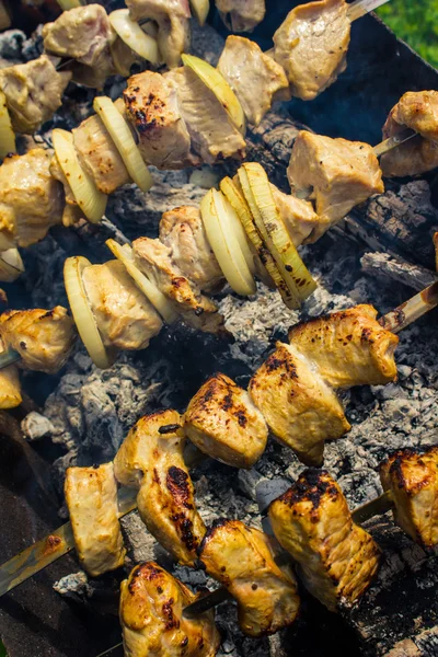 Barbecueën — Stockfoto