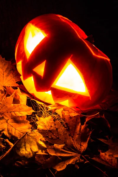 Lanterns from pumpkins. Halloween — Stock Photo, Image