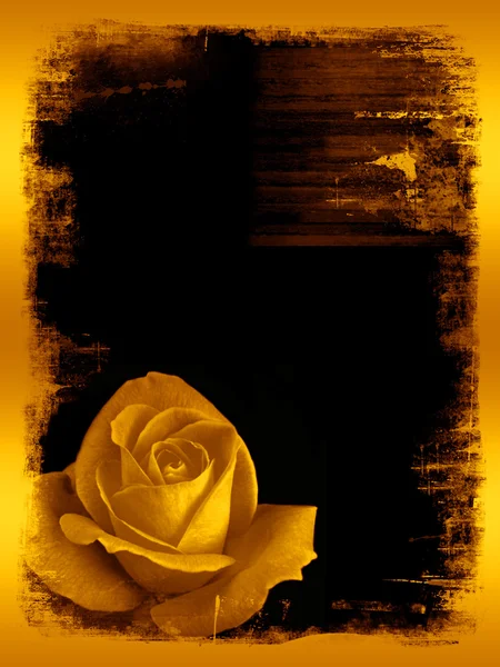 Rose golden grunge — Stock Photo, Image