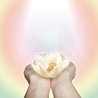 Lotus çiçeği.