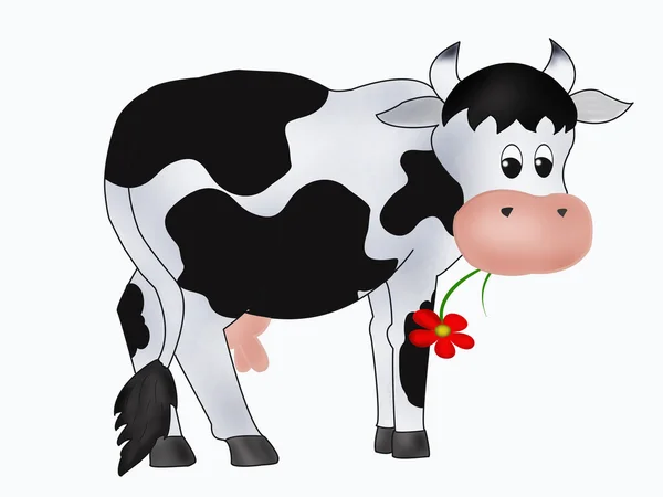 Aranyos tehén — Stock Fotó