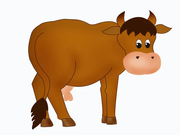 Cute cow — Stock Photo, Image