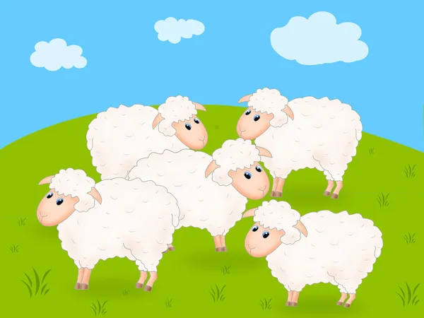 Niedliche Schafe — Stockfoto