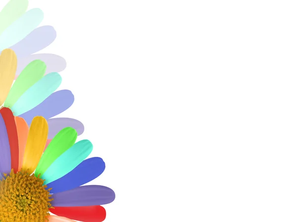 Rainbow flower — Stock Photo, Image