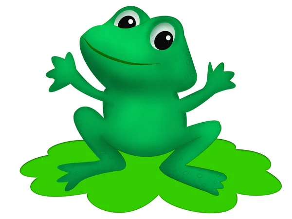 Cute frog — Stock Photo, Image