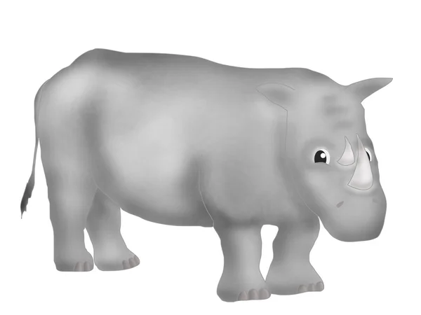 Rhinoceros — Stock Photo, Image