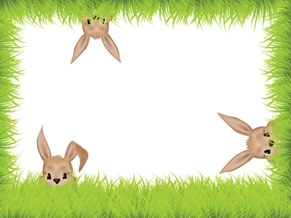 Eeaster bunnies — Stock Photo, Image