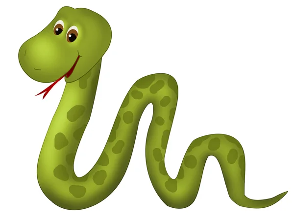 Cute snake — Stock Photo, Image