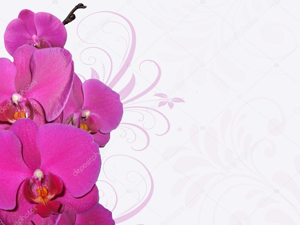 Flower background