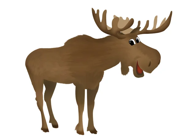 Schattig moose — Stockfoto