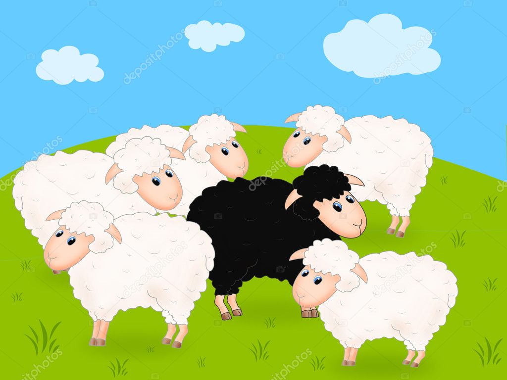 400 Free Black Sheep  Sheep Images  Pixabay