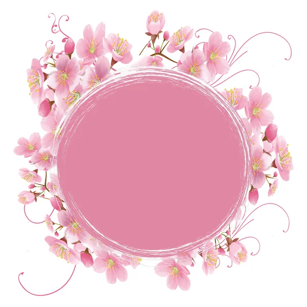 Sakura — Stockfoto
