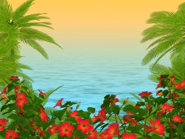 Palm trees und hibiscus flowers frame — Stock Photo, Image