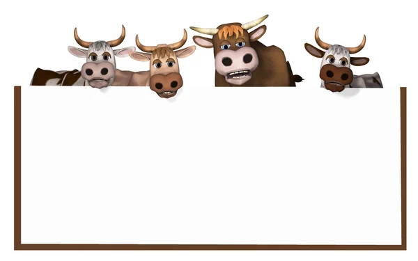Kühe und Bullen — Stockfoto
