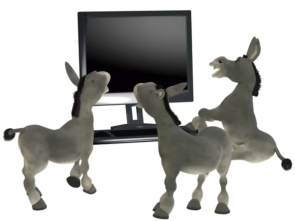 Ignorant donkeys — Stock Photo, Image