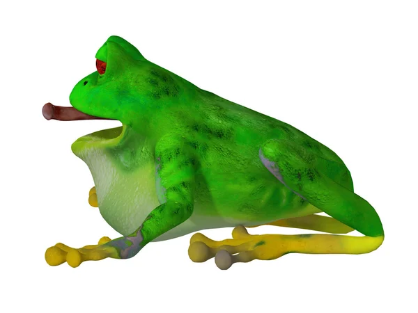 3d grenouille dessin animé — Photo