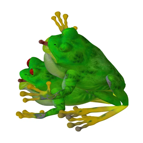 Zvířecí láska: dvě žáby v lásce — Stock fotografie