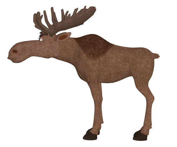 Cartoon moose — Stockfoto