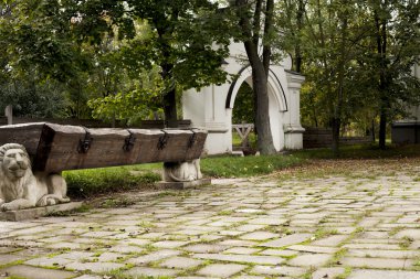 güneşli bir gün parkta