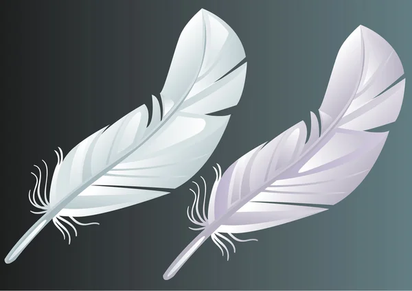 Pluma — Vector de stock