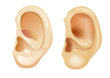 Kulak (yorum-in belgili tanımlık kafes ve gölgelendirme ölür)