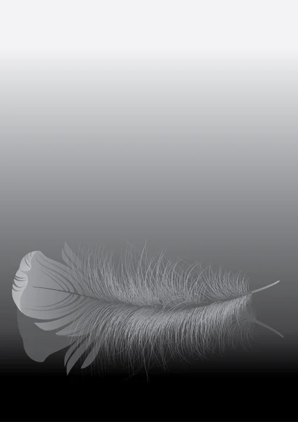 Quill (plume duveteuse ) — Image vectorielle