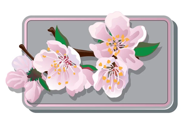 Tarjeta de flores de cerezo — Archivo Imágenes Vectoriales