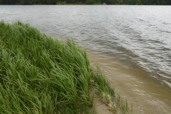 Une Légère Brise Sur Rivière Secoue Herbe Entraîne Les Vagues — Photo