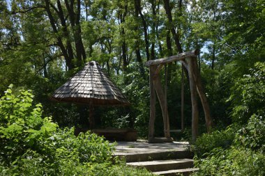 Orman parkı, çardak ve salıncak, sıcak bir yaz gününde dinlenmek ve eğlenmek için güzel bir yer.