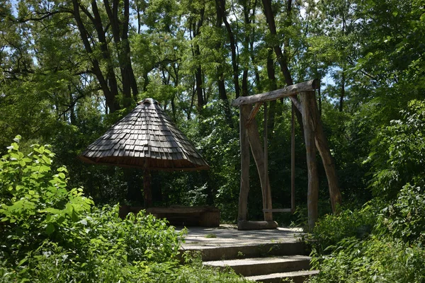 Orman parkı, çardak ve salıncak, sıcak bir yaz gününde dinlenmek ve eğlenmek için güzel bir yer.